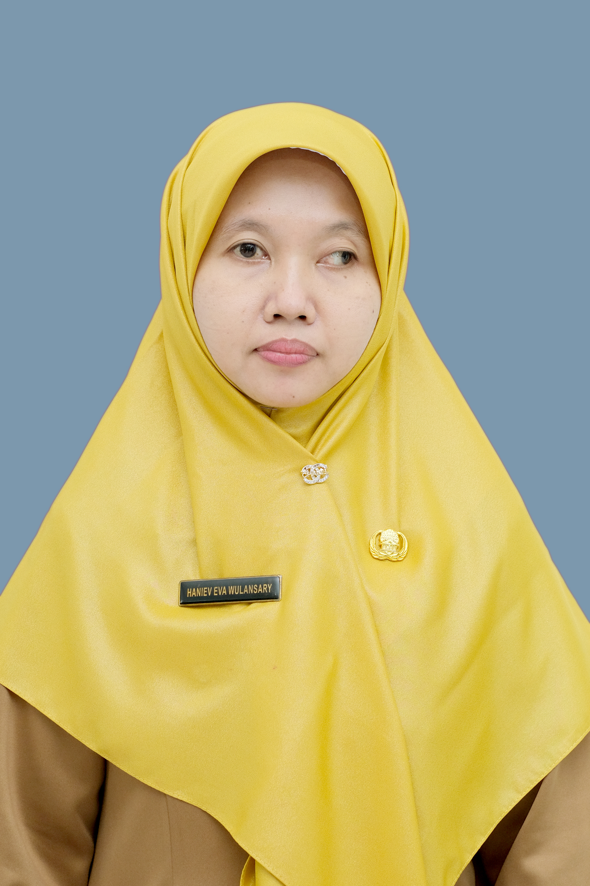 Haniev Eva Wulansary, S.Pd.